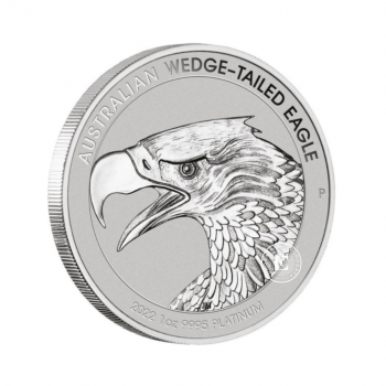 1 oz (31.10 g) platininė moneta Pleištauodegis erelis, Australija 2022 (su sertifikatu)