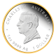 1 oz (31.10 g) silver colored  PROOF coin 175 Years of Gold Rush, Australia 2026 (with certificate) (gilted)
