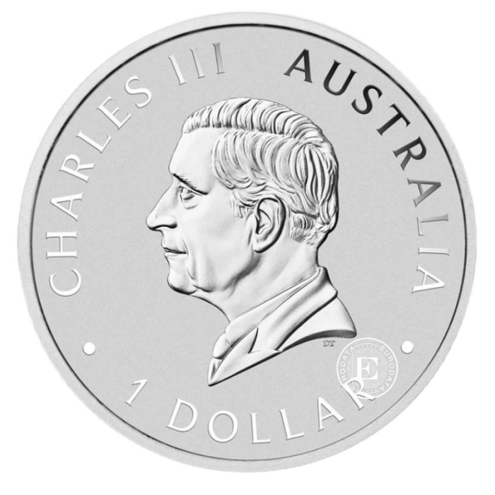 1 oz (31.10 g) pièce coloree d'argent  Australien Schwan, Australie 2026 (avec certificat)