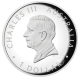 1 oz (31.10 g) srebrna PROOF moneta Kangaroo, Australia 2026