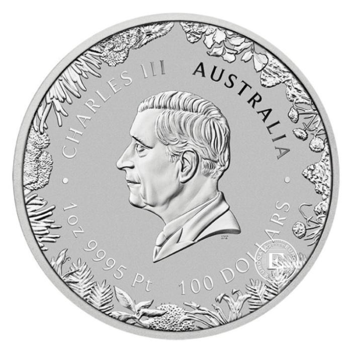 1 oz (31.10 g) platininė moneta Wonders of Australia - The Outback, Australija 2026