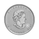 2 oz (62.20 g) silver coin Goose, Canada 2020