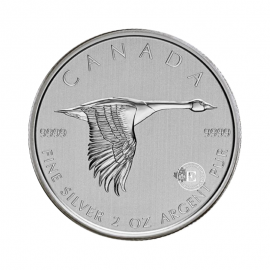 2 oz (62.20 g)  Silbermünze Goose Kanada 2020
