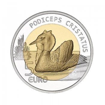 5 Eur (14.93 g) sidabrinė PROOF moneta kortelėje Ausuotasis kragas, Liuksemburgas 2019 (dalinai paauksuota)