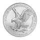 1 oz (31.10 g) sidabrinė spalvota moneta Amerikos Erelis - Jėzus Kristus - Mokytojas, JAV 2023