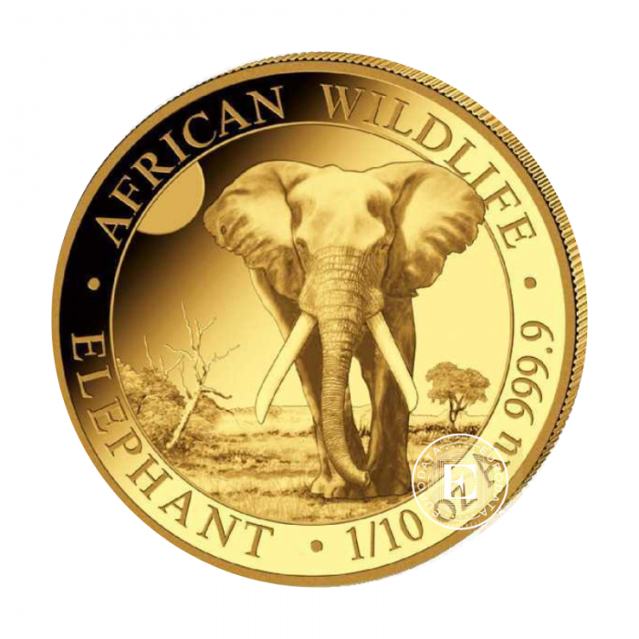 1/10 oz (3.11 g) auksinė moneta Afrikos laukinė gamta - Dramblys, Somalis 2025