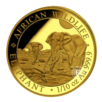 1/10 oz (3.11 g) auksinė moneta Afrikos laukinė gamta - Dramblys, Somalis 2026