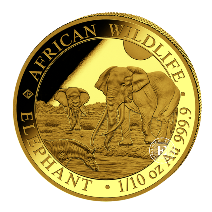 1/10 oz (3.11 g) auksinė moneta Afrikos laukinė gamta - Dramblys, Somalis 2026