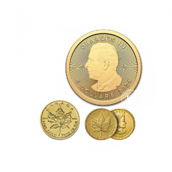 1/10 oz (3.11 g) gold coin Maple Leaf, Canada (random year)
