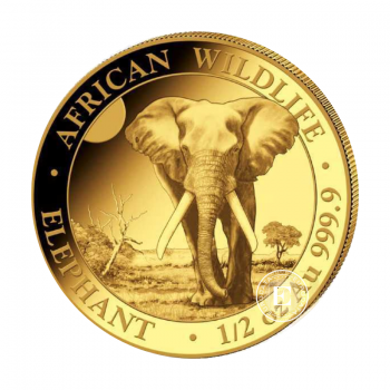 1/2 oz (15.55 g) auksinė moneta Afrikos laukinė gamta - Dramblys, Somalis 2025