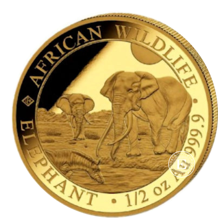 1/2 oz (15.55 g) auksinė moneta Afrikos laukinė gamta - Dramblys, Somalis 2026