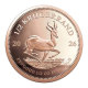1/2 oz (15.55 g) auksinė moneta Krugerrand, Pietų Afrikos Respublika 2026