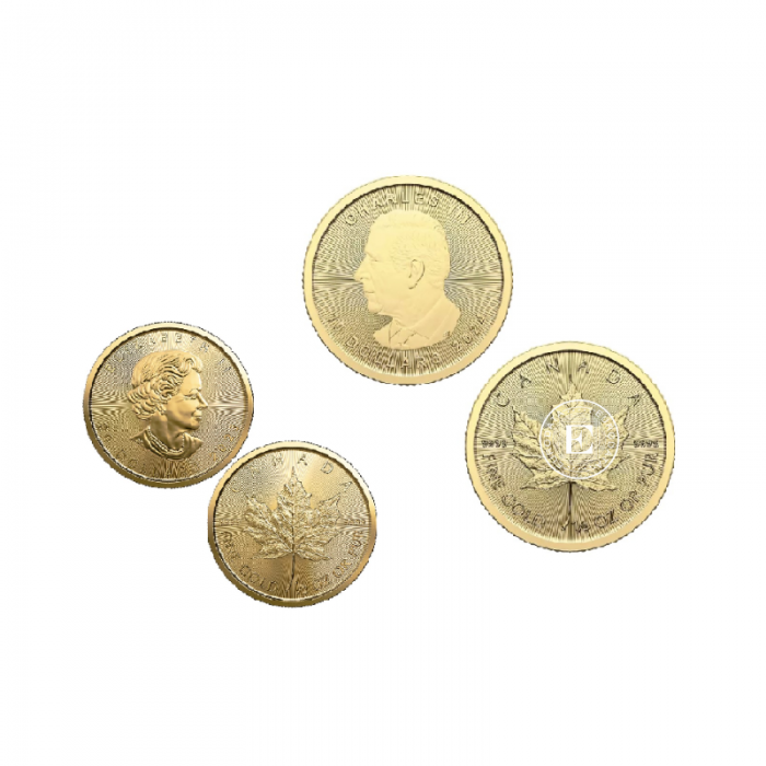 1/2 oz (15.55 g) gold coin Maple Leaf, Canada (random year)