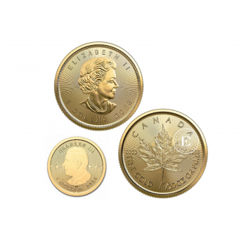 1/20 oz (1.55 g) gold coin Maple Leaf, Canada (random year)