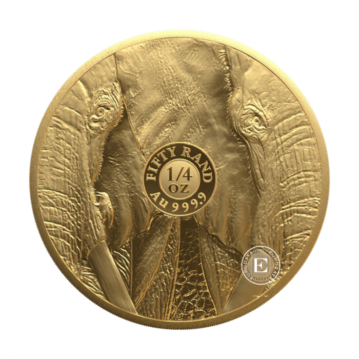 1/4 oz (7.78 g) złota PROOF moneta Big Five – Elephant, Republika Południowej Afryki 2024 (z certyfikatem)