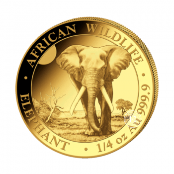 1/4 oz (7.78 g) auksinė moneta Afrikos laukinė gamta - Dramblys, Somalis 2025