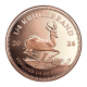 1/4 oz (7.78 g) auksinė moneta Krugerrand, Pietų Afrikos Respublika 2026