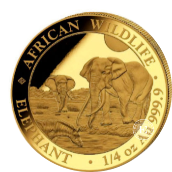 1/4 oz (7.78 g) auksinė moneta Afrikos laukinė gamta - Dramblys, Somalis 2026