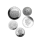 5 oz (155.50 g) silver coin (random year, random design)