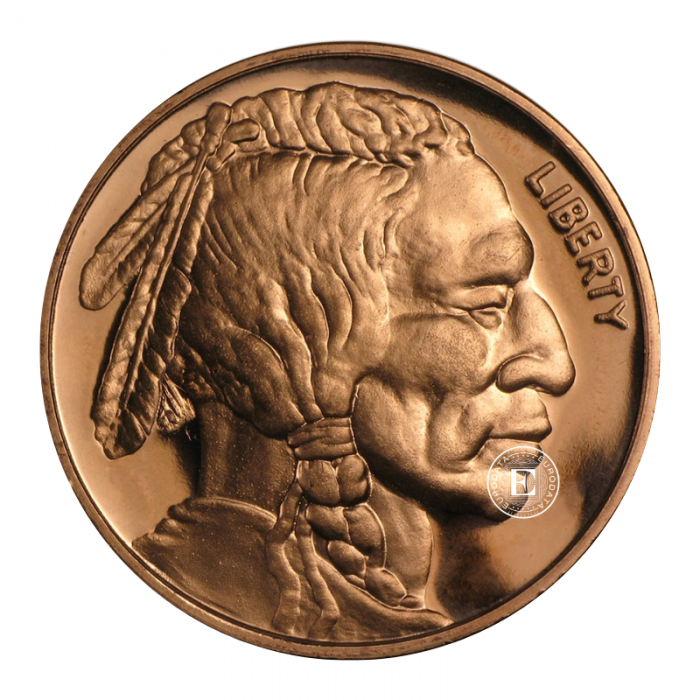 5 oz (155.50 g) copper coin Buffalo, USA (random year)