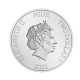 1 oz (31.10 g) sidabrinė moneta Aquaman, Niujė 2022