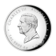 1 oz (31.10 g) sidabrinė PROOF moneta Lunar III -  Arklio metai, Australija 2026 (aukštas reljefas)
