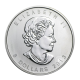1.5 oz (46.65 g) sidabrinė moneta Baltasis lokys, Kanada 2013