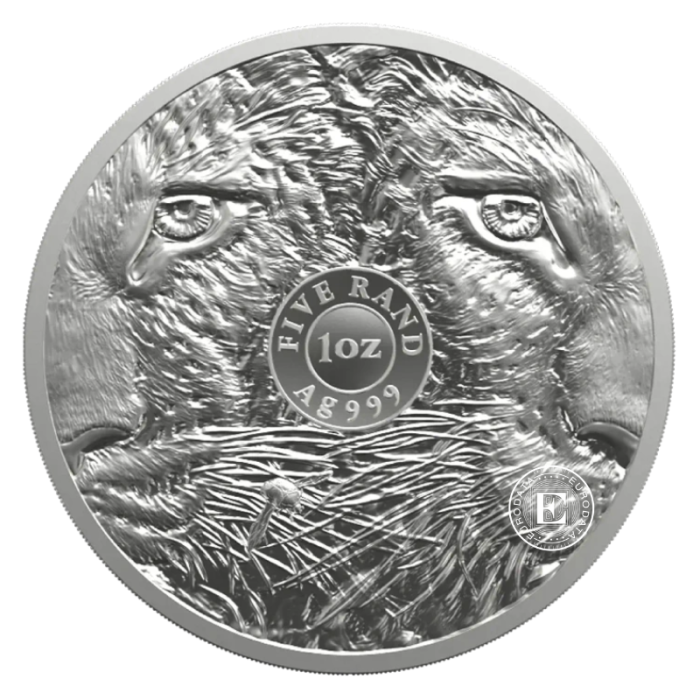 1 oz (31.10 g) sidabrinė moneta kortelėje Didysis penketas - Leopardas, Pietų Afrikos Respublika 2026