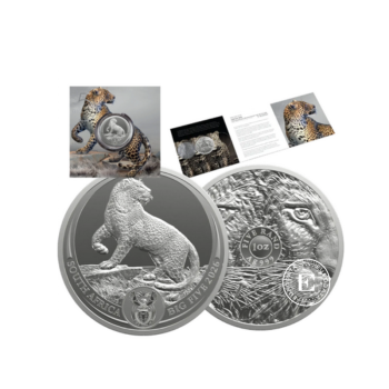 1 oz (31.10 g) sidabrinė moneta kortelėje Didysis penketas - Leopardas, Pietų Afrikos Respublika 2026