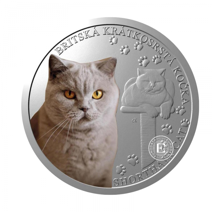 1 oz (31.10 g) sidabrinė PROOF moneta Kačių veislės - Britų trumpaplaukis, Niujė 2024