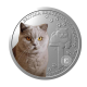 1 oz (31.10 g) sidabrinė PROOF moneta Kačių veislės - Britų trumpaplaukis, Niujė 2024