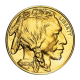 1 oz (31.10 g) srebrna moneta Buffalo, USA 2026