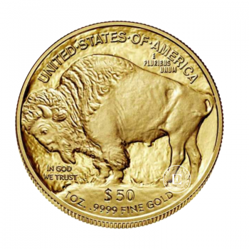 1 oz (31.10 g) auksinė moneta Buivolas, JAV (atsitiktiniai metai)