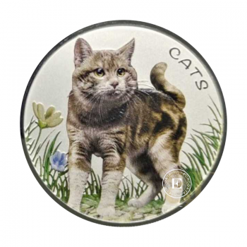 1 oz (31.10 g) sidabrinė spalvota moneta Cats, Fidžis 2022