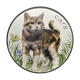 1 oz (31.10 g) pièce coloré Cats, Fiji 2022