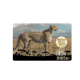1/1000 oz auksinė moneta kortelėje Gabon Cheetah, Gabonas