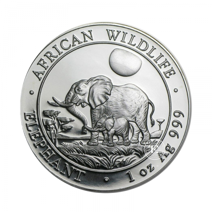 1 oz (31.10 g) pièce d'argent Faune Africaine - Éléphant, Somalie 2011