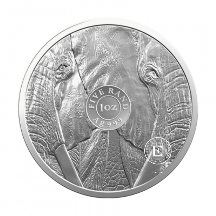 1 oz (31.10 g) srebrna moneta na karcie Big Five – Elephant, Republika Południowej Afryki 2019