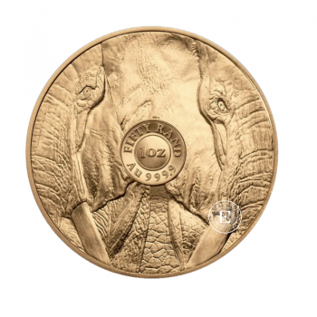 1 oz (31.10 g) gold coin Big Five - Elephant, Afrique du Sud 2024