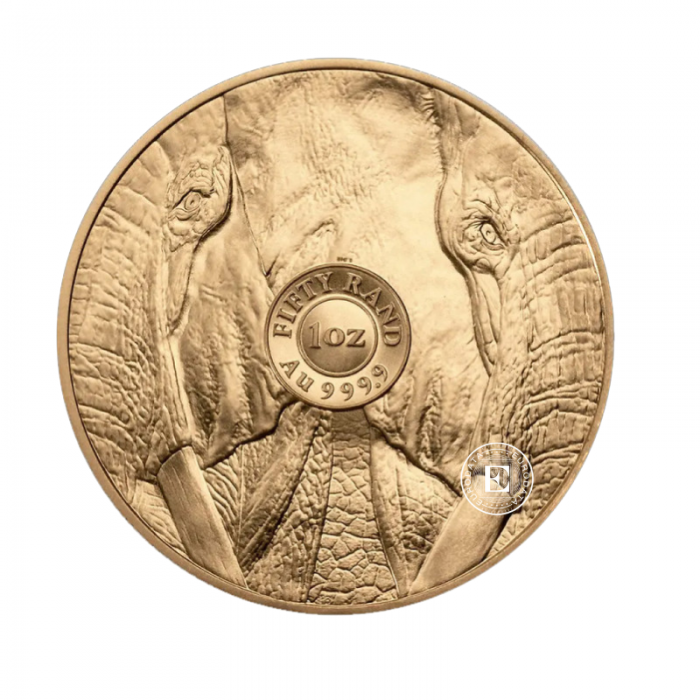 1 oz (31.10 g) złota moneta Big Five - Elephant, Afryka Południowa 2024