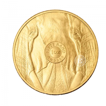 1 oz (31.10 g) gold coin Big Five - Elephant, Afrique du Sud 2025