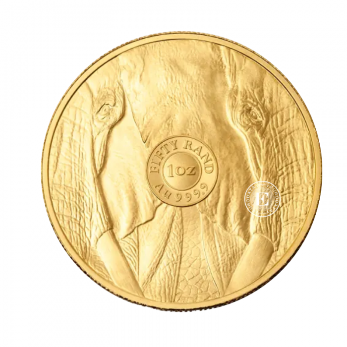 1 oz (31.10 g) auksinė moneta Didysis penketas - Dramblys, Pietų Afrikos Respublika 2025