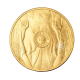 1 oz (31.10 g) auksinė moneta Didysis penketas - Dramblys, Pietų Afrikos Respublika 2025