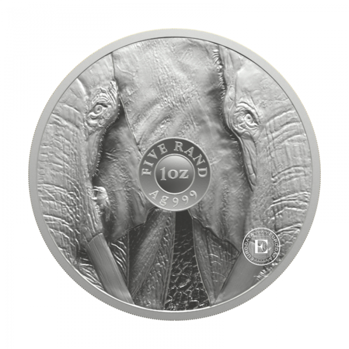 1 oz (31.10 g) Silbermünze auf de Karte Big Five – Elephant, Republik Südafrika 2024