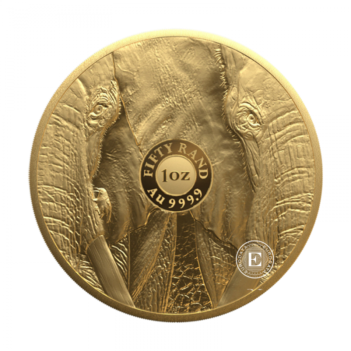 1 oz (31.10 g) złota PROOF moneta Big Five – Elephant, Republika Południowej Afryki 2024 (z certyfikatem)