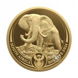 1/4 oz (7.78 g) gold PROOF coin Big Five – Elephant, Republic of South Africa 2024 (with sertificate)