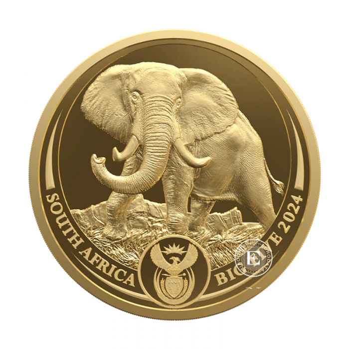 1 oz (31.10 g) złota PROOF moneta Big Five – Elephant, Republika Południowej Afryki 2024 (z certyfikatem)