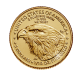 1/10 oz (3.11 g) auksinė moneta Amerikos Erelis, JAV 2024