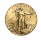 1/10 oz (3.11 g) auksinė moneta Amerikos Erelis, JAV 2024