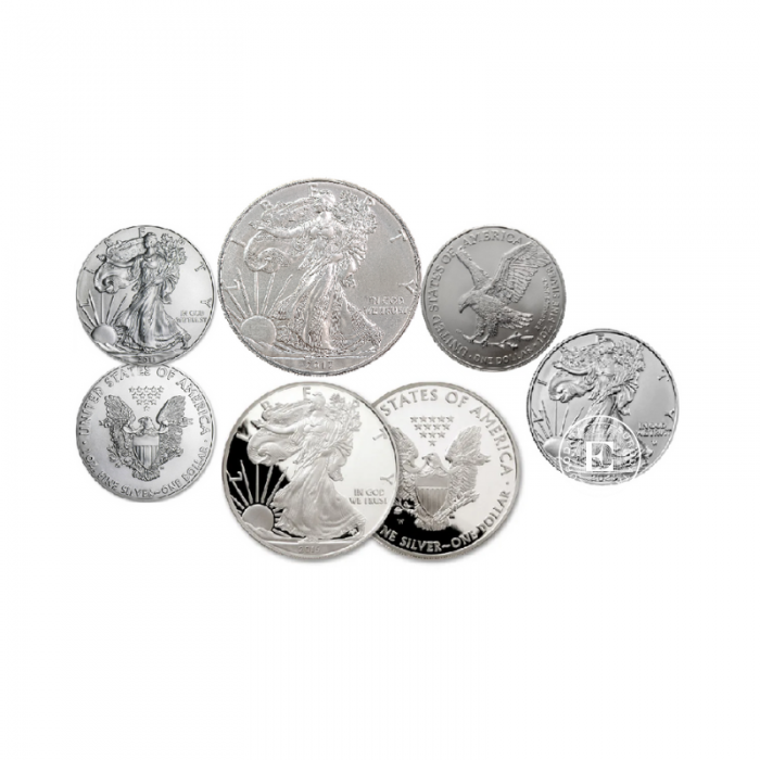 1 oz (31.10 g) pièce d'argent American Eagle, USA (random year)